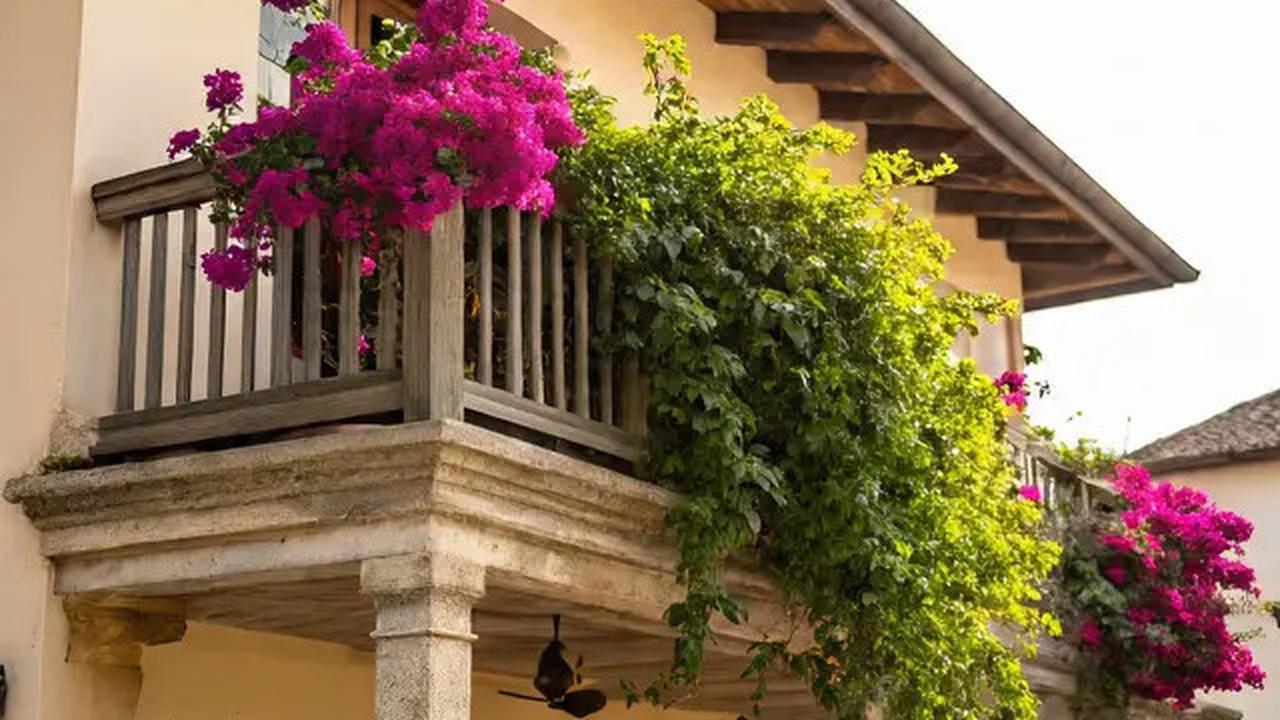 Tak Cuma Teras, Intip Pilihan Tanaman Heat-Tolerant untuk Balkon, Kontainer, hingga Taman Belakang