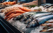Temukan 15 Ikan Laut Terbaik Kaya Protein untuk Kesehatan Jantung, Tulang, dan Otak