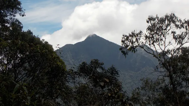 Gunung Mulu di Serawak