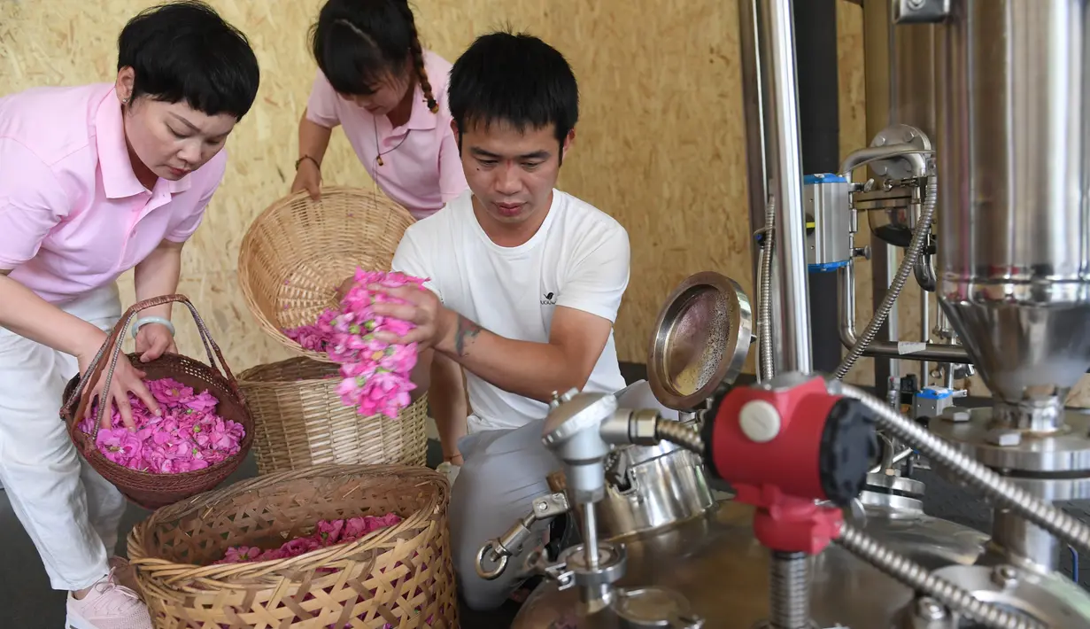 Para staf sedang mengekstrak minyak esensial dari bunga mawar di Wilayah Daixi, Kota Huzhou, Provinsi Zhejiang, China timur (9/6/2020). Wilayah Daixi telah mengembangkan industri kosmetik sejak 2015. (Xinhua/Weng Xinyang)