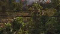 Kebakaran Landa Hutan di Trans Berelang Batam. (Liputan6.com/Ajang Nurdin)