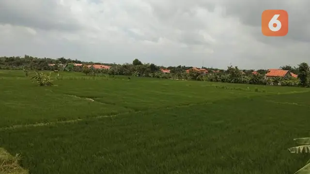 Madura