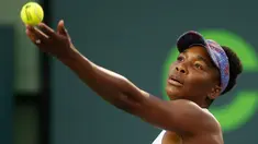 Mantan petenis nomor satu dunia, Venus Williams bersiap mengembalikan bola ke arah petenis non unggulan AS, Danielle Collins pada babak perempat final Miami Terbuka 2018 di Crandon Park, Kamis (29/3). Venus menyerah dengan skor 2-6, 3-6. (AP/Wilfredo Lee)