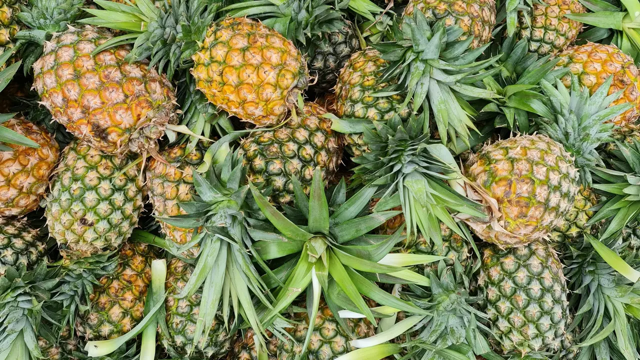 Nanas