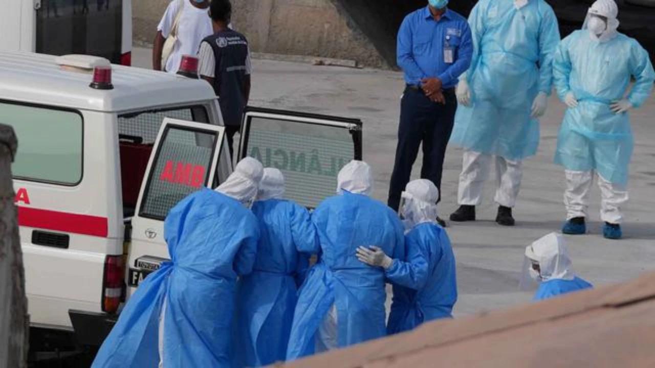 Warga Jakarta Diminta Waspada Hantavirus dari Kotoran Tikus