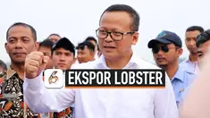 THUMBNAIL LOBSTER