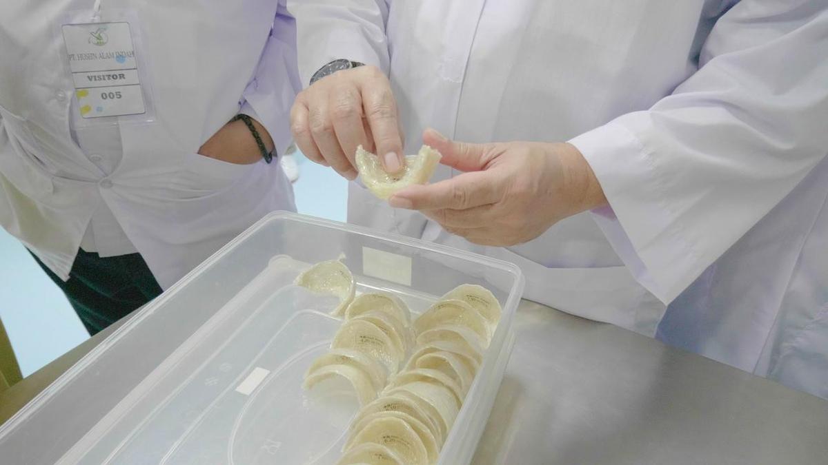 Ekspor Sarang Burung Walet ke China Disetop karena Aluminium, Kemendag Cari Solusi