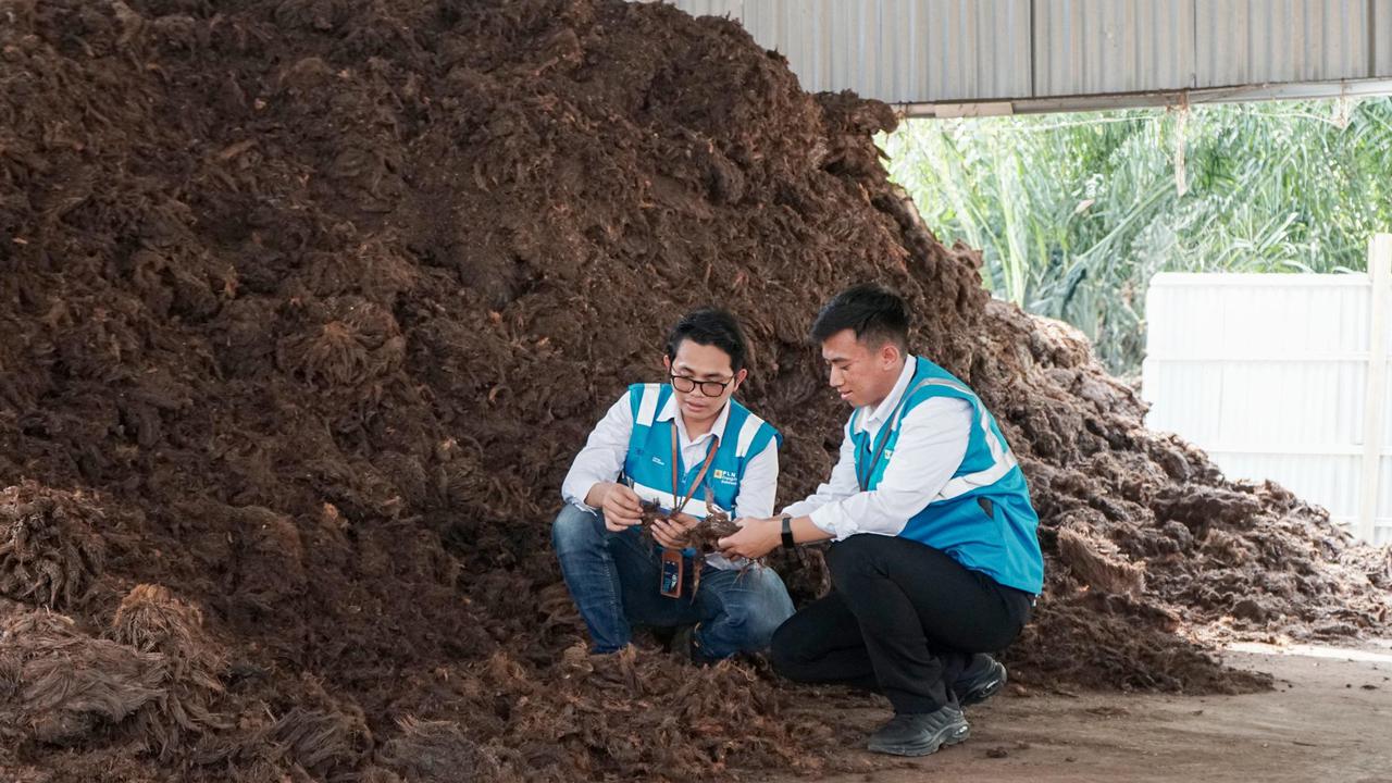 Kejar Target Net Zero Emission, Bioenergi Jadi Peluang Usaha Domestik dan Internasional