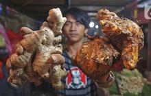 Manfaat Konsumsi Air Jahe dan Rebusan Daun Salam untuk Menurunkan Kolesterol