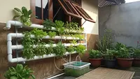 Panduan Hidroponik di Rumah Tanpa Greenhouse, Panen Sayur Segar di Lahan Terbatas