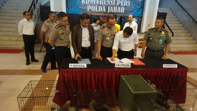 6 Bulan Bisnis Jual Beli Burung Langka, Rudi Ditangkap Petugas Gabungan