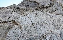 Ribuan Jejak Kaki Dinosaurus Ditemukan di Alpen Italia, Dekat Lokasi Olimpiade 2026