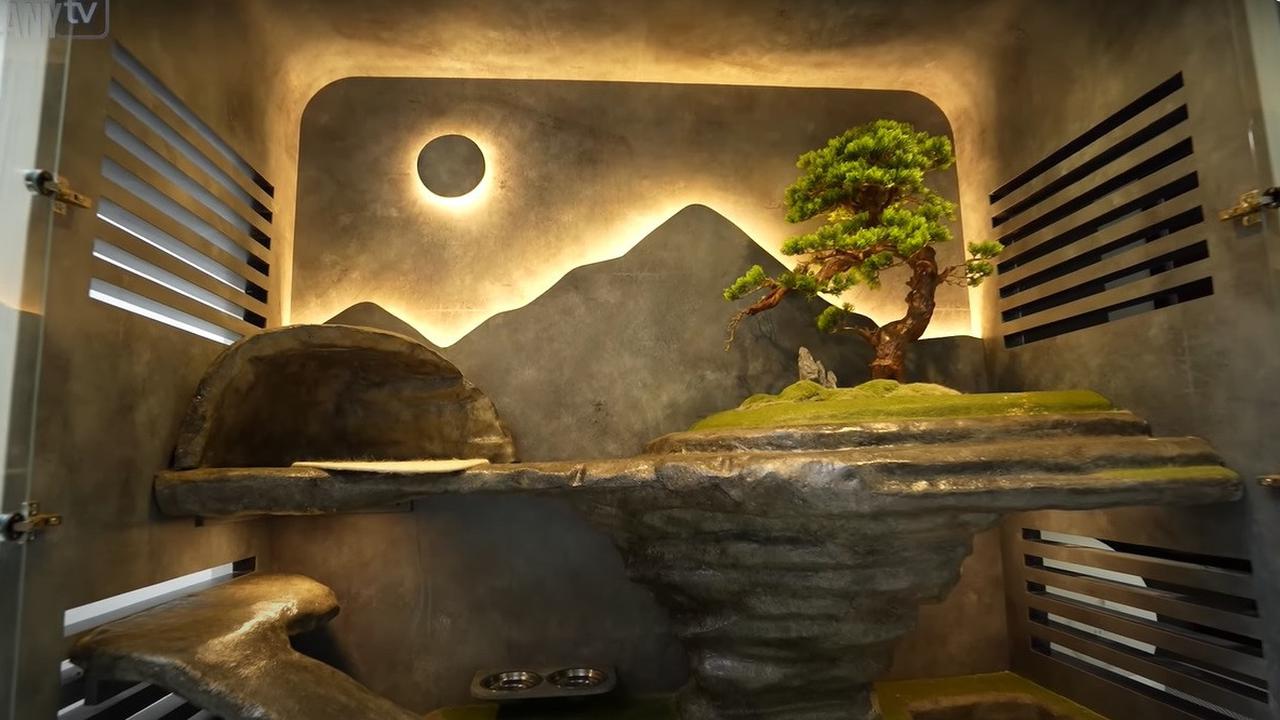 Paludarium hingga Dapur Elegan, Ini Potret Rumah Rachel Vennya yang Estetik dan Mewah
