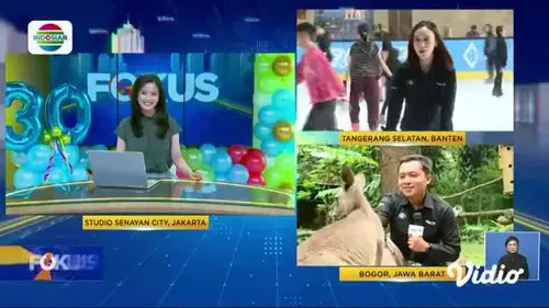 Fokus : Tak Ada Jembatan, Warga Kab. Ende Nekat Seberangi Sungai Berarus Deras