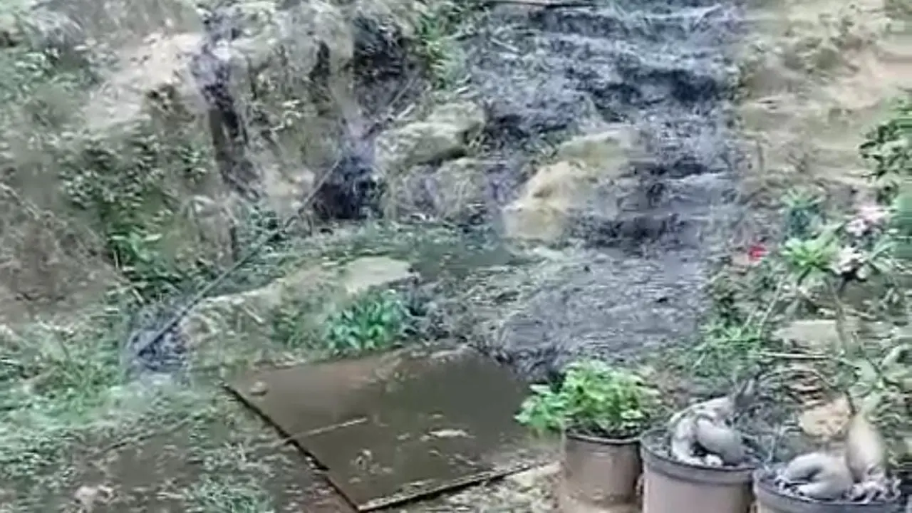 Aliran tinja yang mengajar ke rumah Sumasri, warga Tuban. (Istimewa)