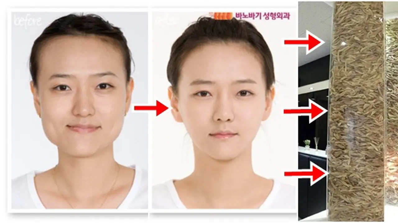 Photo copyright en.rocketnews24.com