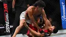 Petarung Indonesia Bilal Hasan  saat melawan petarung  dari Peru Nilson Rojas dalam pertandingan kelas terbang putra pada ajang UFC Fight Night di Oriental Sports Center, Shanghai, Sabtu, 29 Agustus 2026. (AFP/ Jade Gao)