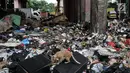 Seekor kucing berada di tumpukan sampah di kolong Tol Wiyoto-Wiyono, Sungai Bambu, Jakarta, Selasa (15/1). Dalam sehari petugas kebersihan mengangkut sampah hingga 10 truk dengan berat total sekitar 100 ton. (Merdeka.com/Iqbal S. Nugroho)