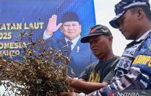 TNI AL Tanam Kedelai Serentak, Perkuat Ketahanan Pangan Nasional