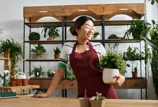 7 Tips Self Healing Lewat Green Living untuk Mengurangi Stres./Copyright depositphotos.com/hay dmitriy