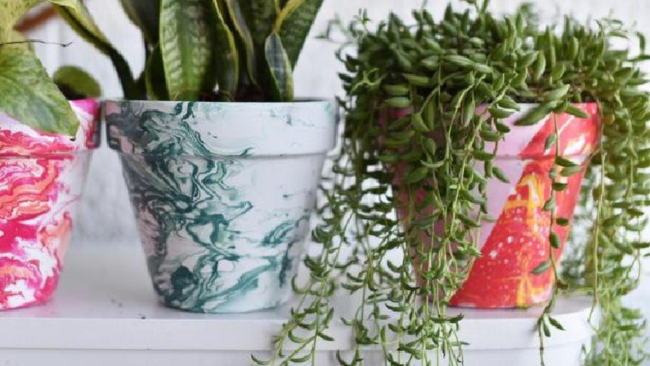 7 Tanaman Hias yang Berfungsi Untuk Membersihkan Udara