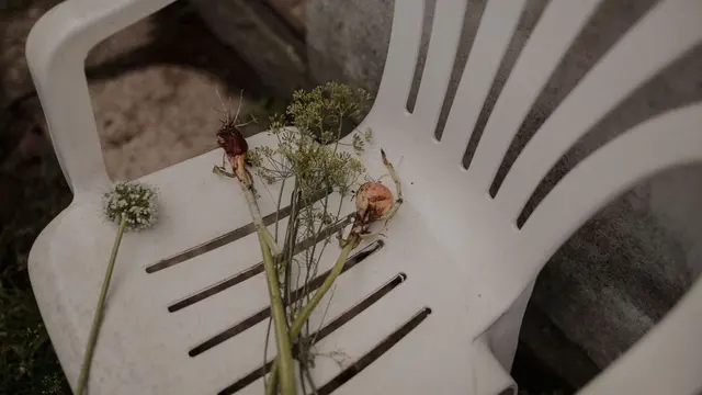 Lubang Kecil pada Kursi Plastik