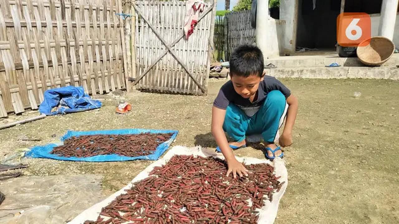 Turunkan Darah Tinggi dan Asam Urat Secara Alami dengan 6 Resep Jamu Rempah Herbal