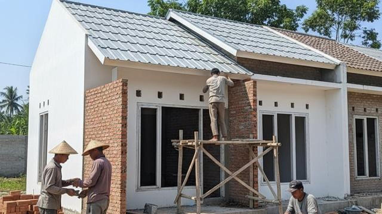 6 Jenis Bahan Bangunan Rumah yang Tahan Terhadap Serangan Tikus dan Aman untuk Hunian Modern