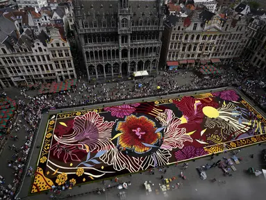 Para sukarelawan bekerja menempatkan bunga begonia ke dalam karpet bunga raksasa bertema Art Nouveau di Grand Place yang bersejarah di Brussels, Belgia, Kamis, 15 Agustus 2024. (AP Photo/Virginia Mayo)