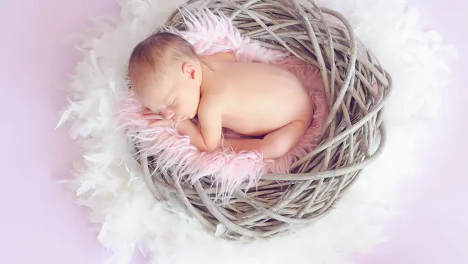 Contoh ilustrasi newborn photoshoot