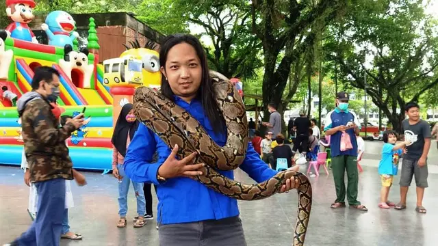 Ular Sanca Sepanjang 4 Meter dan Puluhan Telurnya Bersarang di Rumah Warga di Palembang