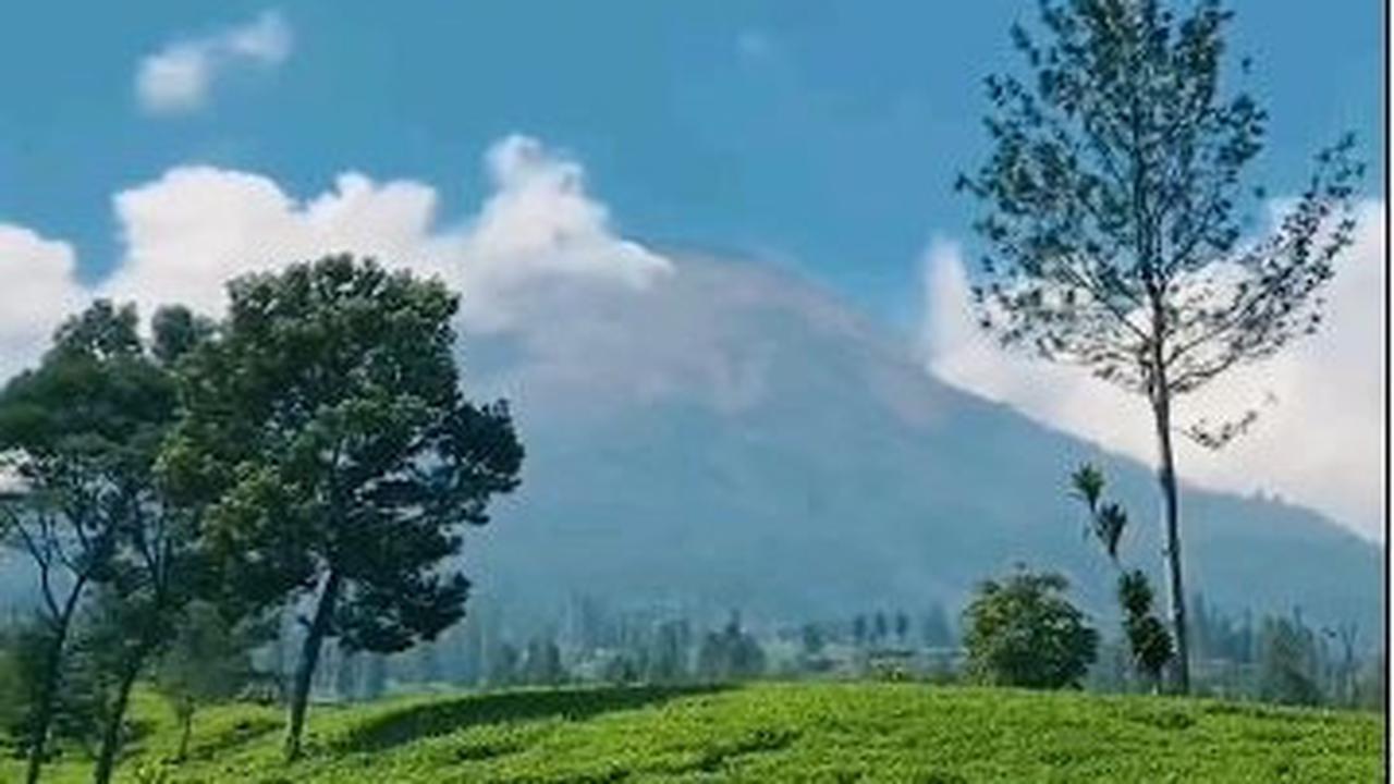 Kebun Teh Sikatok