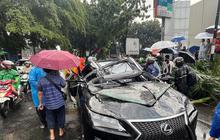 Pengemudi Lexus Mantan Bos PT Danareksa Harry Nugroho Tewas Tertimpa Pohon Tumbang di Pondok Indah, Polisi Tagih Ini ke Pengelola