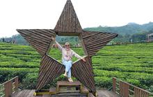 Berwisata ke Kebun Teh Gunung Gambir, Surga Tersembunyi di Pelosok Jember
