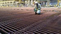 Ketika Smelter Gresik jadi Momentum Pertumbuhan Ekonomi Nasional