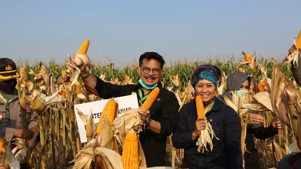 Jaga Pasokan Dalam Negeri, Mentan Ajak Petani Kendal Tingkatkan Produksi Jagung