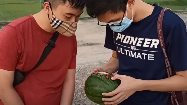 Ilustrasi Melonboy 3