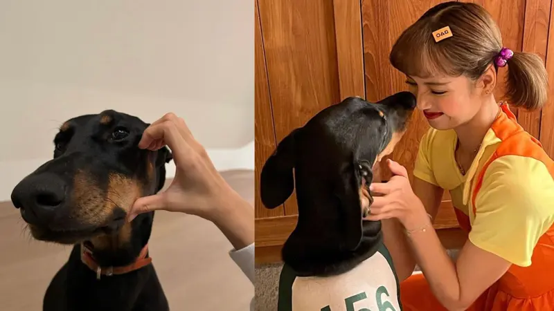 Lisa BLACKPINK bersama anjingnya, ketika rumor soal diblacklist China