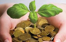 Tak cuma masyarakat, pejabat negara pun tertipu investasi bodong