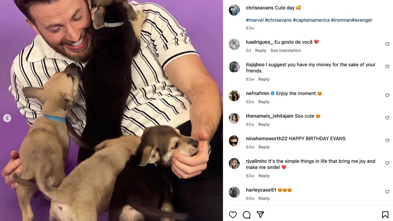 Chris Evans dan anjing disabilitas