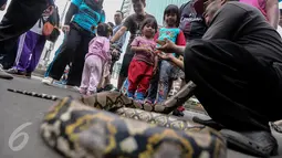 Seorang pria memperlihatkan seekor ular kepada sejumlah anak kecil saat momen Car Free Day (CFD) di kawasan Bundaran HI, Jakarta, Minggu (29/1). Tak sedikit pengunjung CFD yang ingin berfoto dengan hewan reptil tersebut. (Liputan6.com/Faizal Fanani)