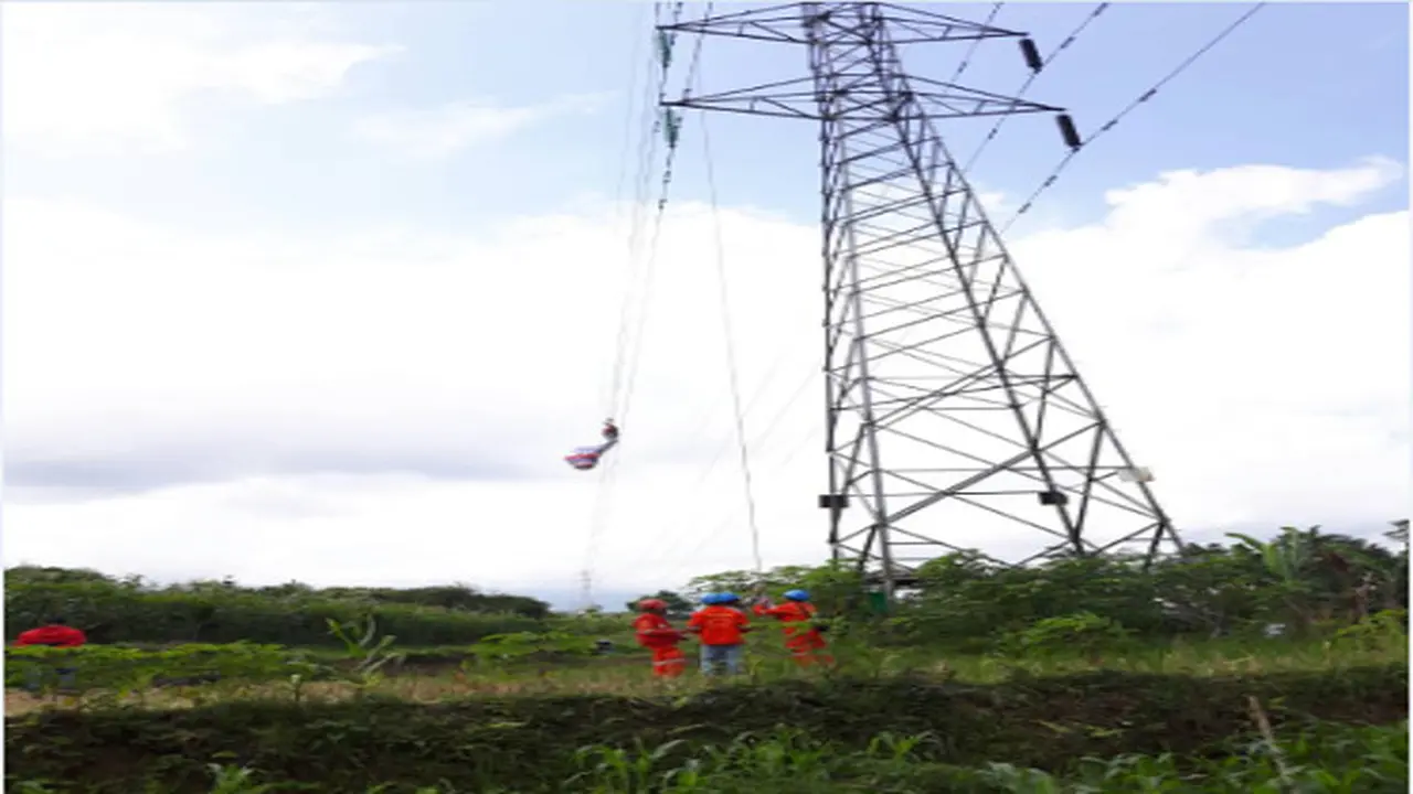 (Foto: PLN)