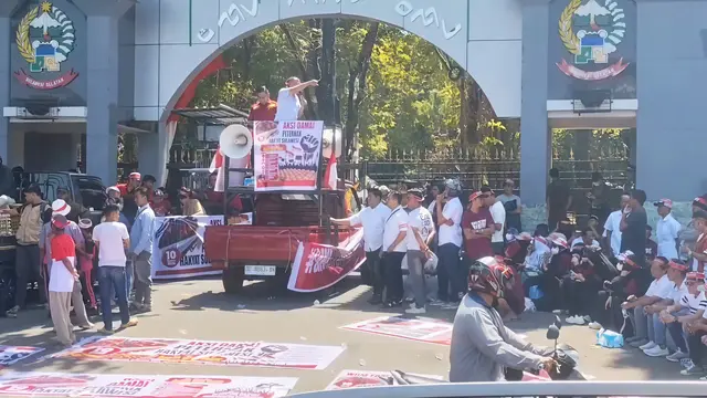 Peternak di Sulsel Bagi-bagi Ayam dan Telur Gratis, Mengaku Rugi akibat Harga Pakan Tinggi