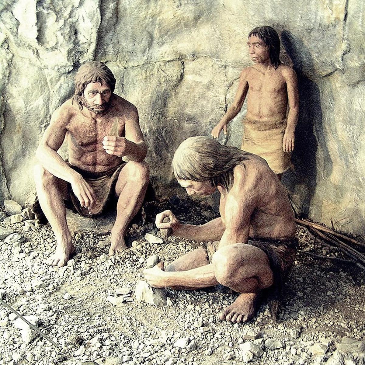 Ilustrasi Neanderthal