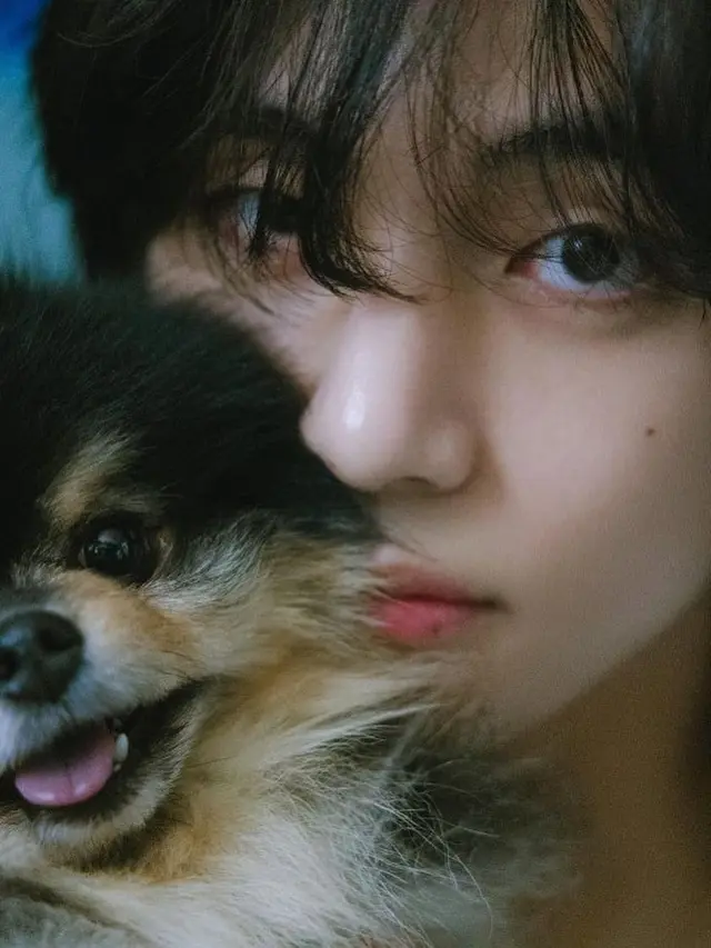 6 Potret Kenangan V BTS dan Yeontan Anjingnya yang Meninggal, ARMY Ikut Sedih