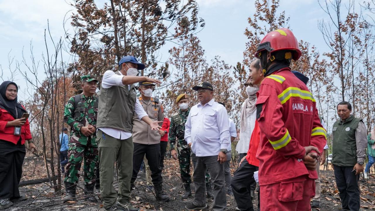 Kebakaran Hutan Ancam Habitat Orang Utan, Menhut Minta Patroli Rutin