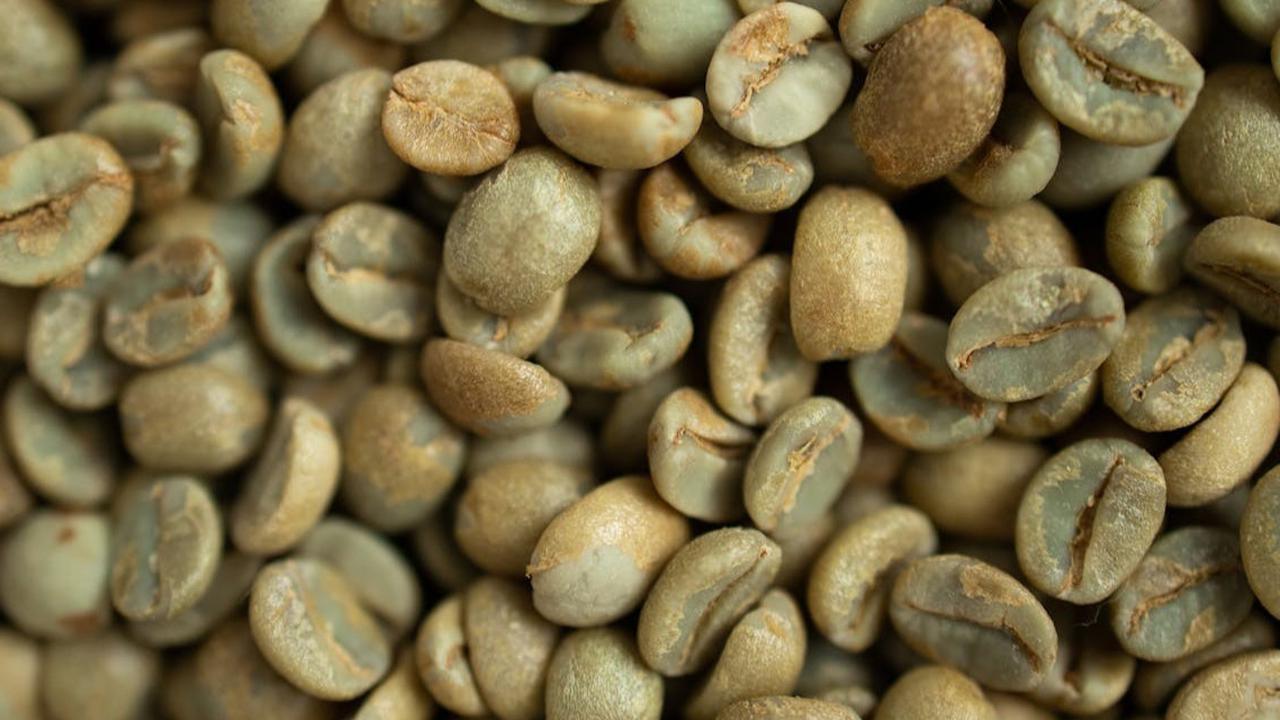Green Coffee atau Kopi Hijau Bisa Jadi Solusi Jaga Stamina Sepanjang Perjalanan Mudik