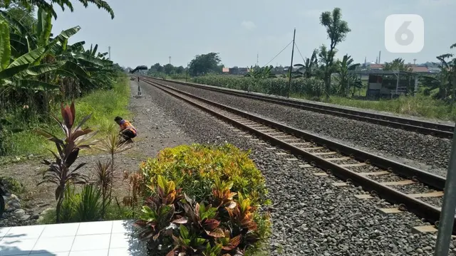 pejuang transportasi