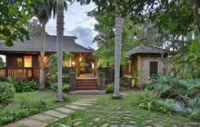 8 Inspirasi Desain Taman Rindang di Rumah yang Teduh, Asri, dan Bikin Sejuk