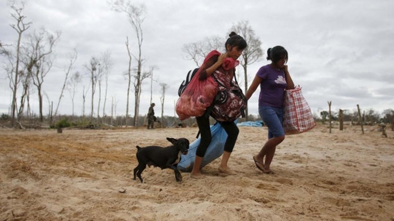 Kamp dibakar polisi, penambang liar di Peru tinggalkan Hutan Amazon